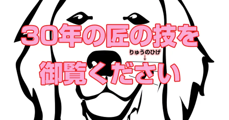流石仕立屋が作るシューズケースが美しすぎる Nageyo ナゲヨ 打てる気がするボウリング Webマガジン