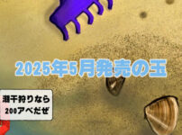 2025年5月　ボウリングボール