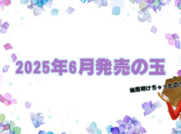 2025年6月　ボウリングボール