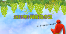 2025年9月　ボウリングボール