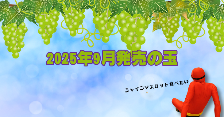 2025年9月　ボウリングボール