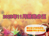 2025年11月　ボウリングボール