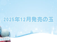 2025年12月　ボウリングボール