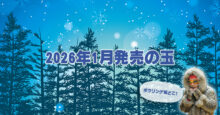 2026年1月　ボウリングボール