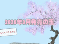 2026年3月　ボウリングボール