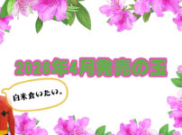 2026年4月　ボウリングボール