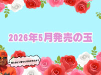 2026年5月　ボウリングボール