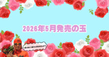 2026年5月　ボウリングボール
