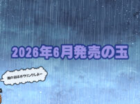 2026年6月　ボウリングボール