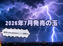 2026年7月　ボウリングボール